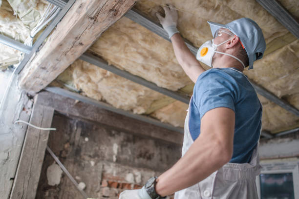 Best Insulation Maintenance and Repair in Fort Pierce South, FL